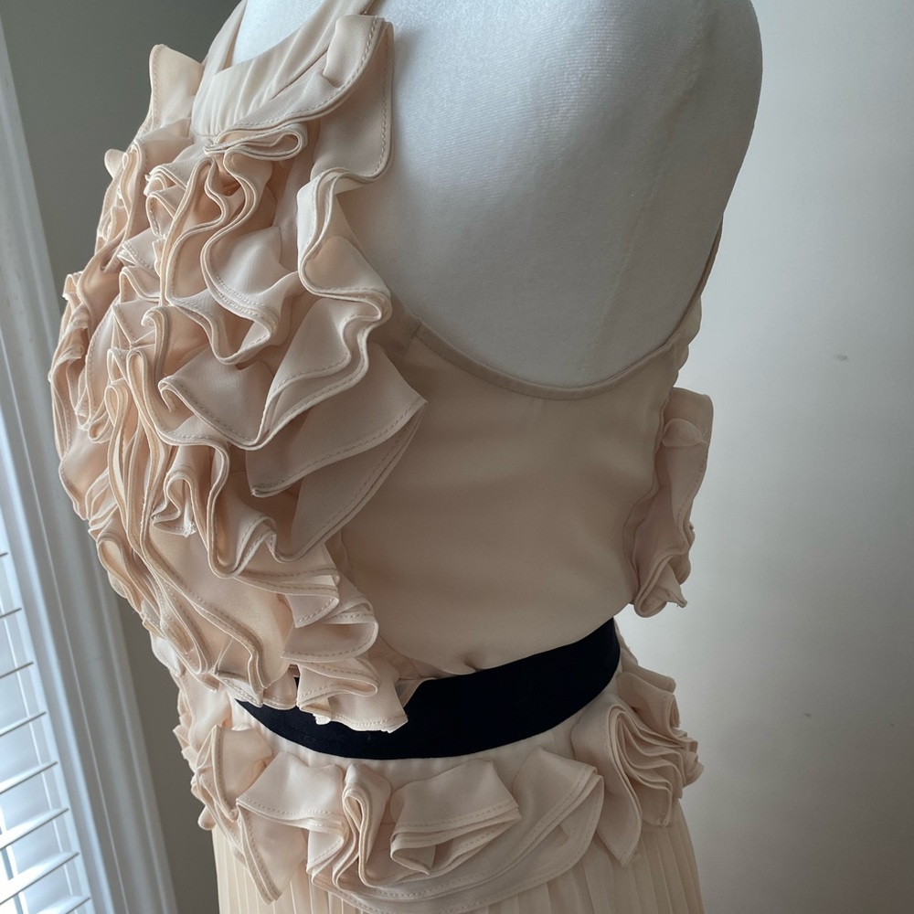 BCBGMAXAZRIA Dress. Size 2. Blush, halter, pleated, Midi dress. - Picture 5 of 9